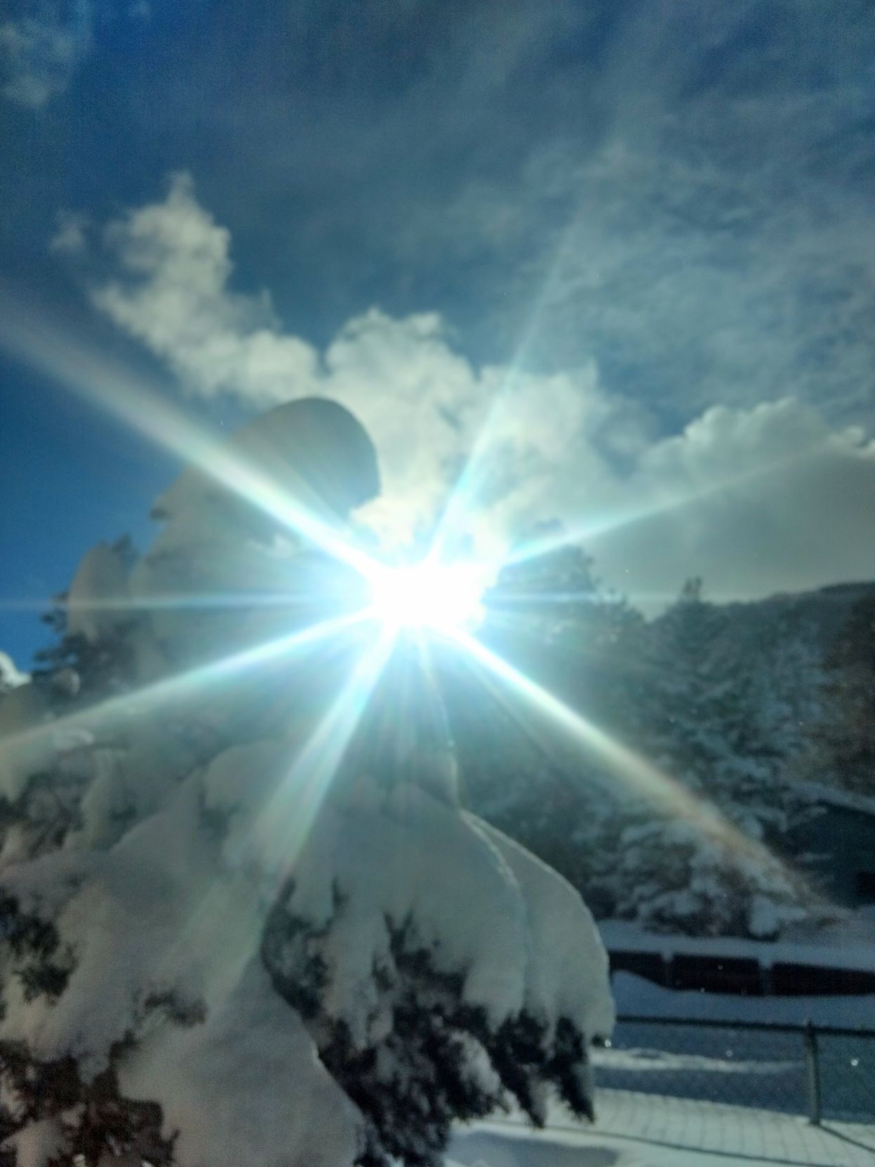 Watching the sun